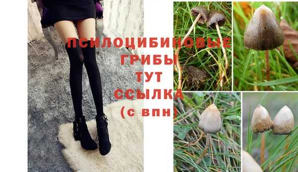 твердый Аркадак