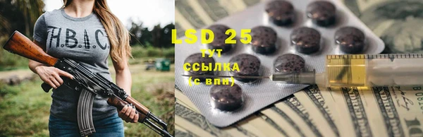 твердый Аркадак