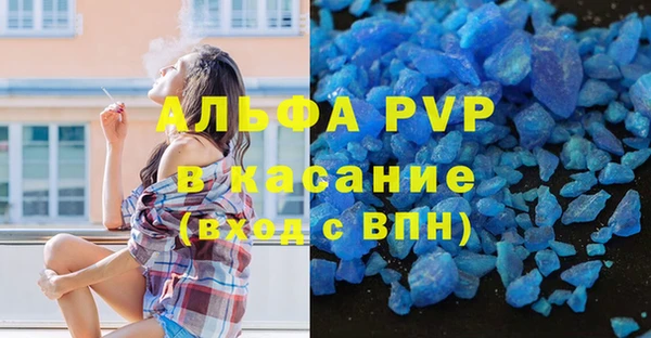 твердый Аркадак
