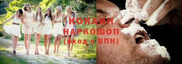 твердый Аркадак