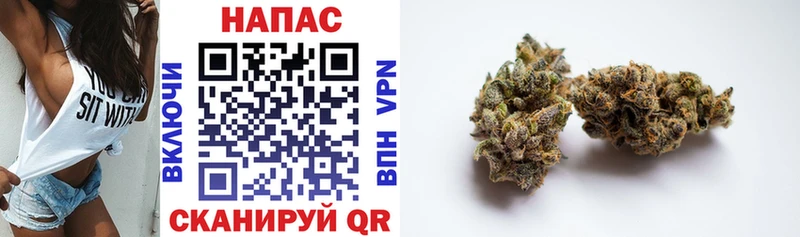 даркнет наркотические препараты  Снежинск  Шишки марихуана THC 21% 